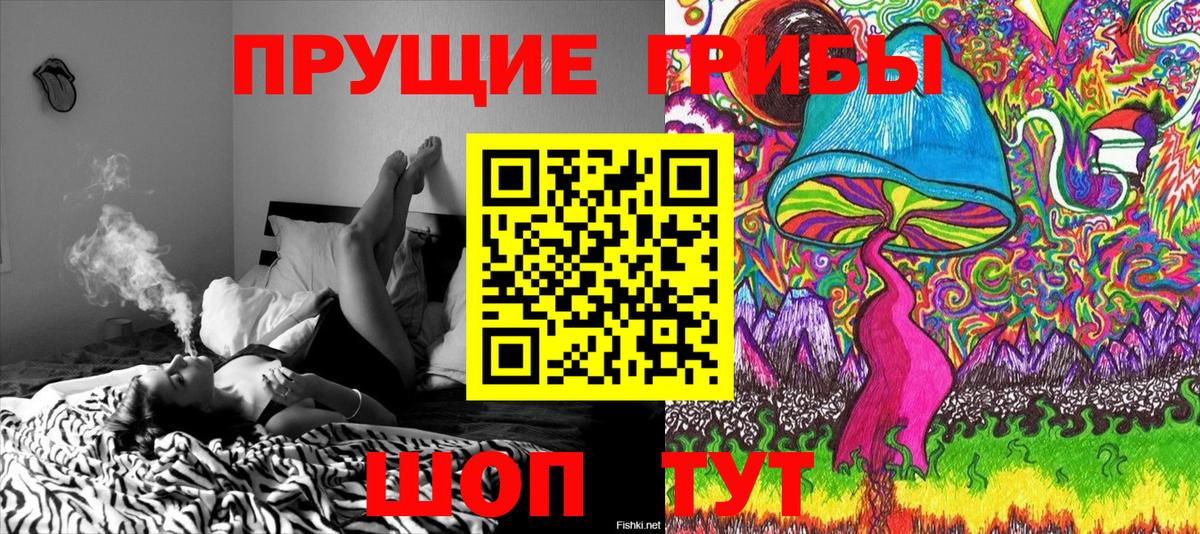 Псилоцибиновые грибы мухоморы Черкесск